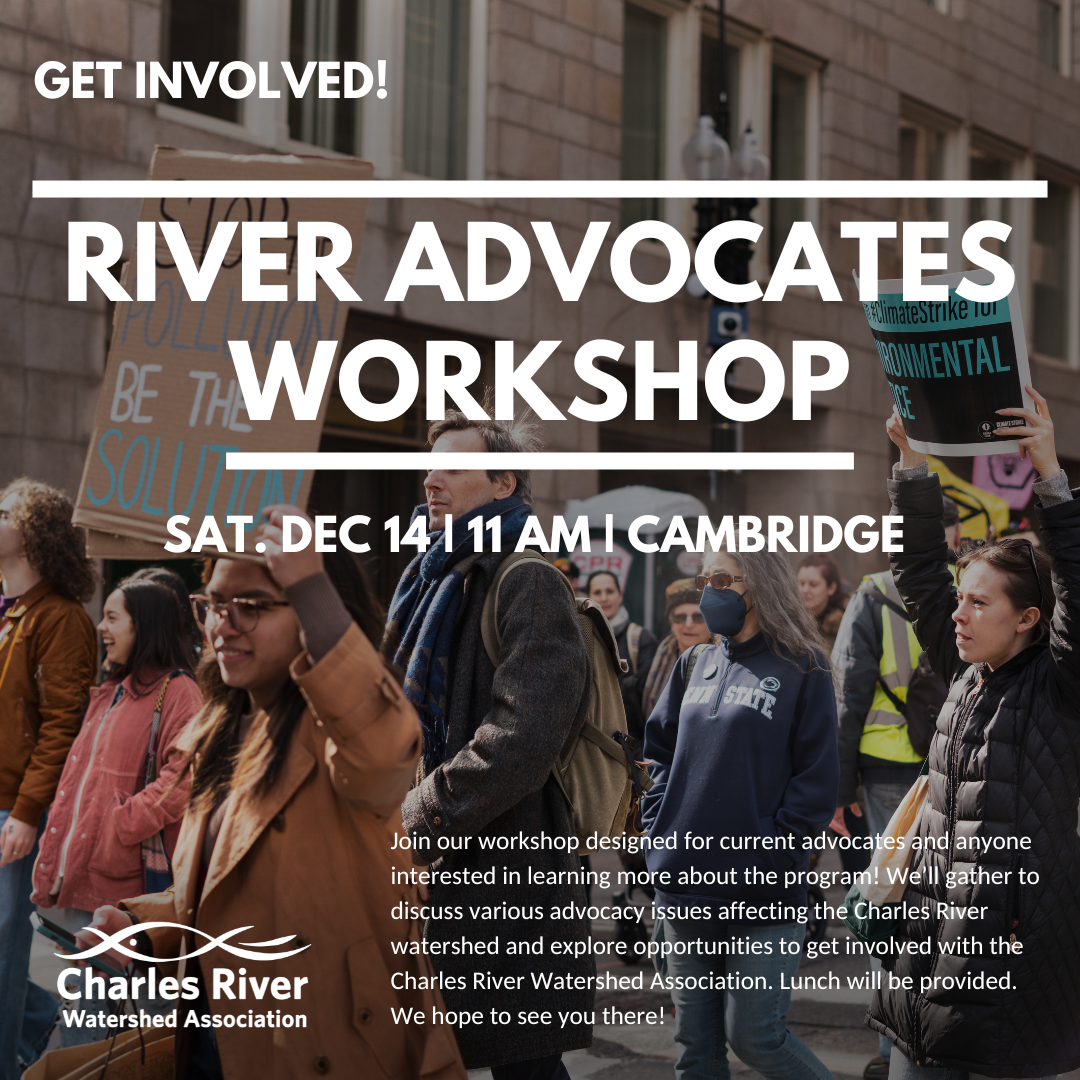 Winter River Advocates Workshop