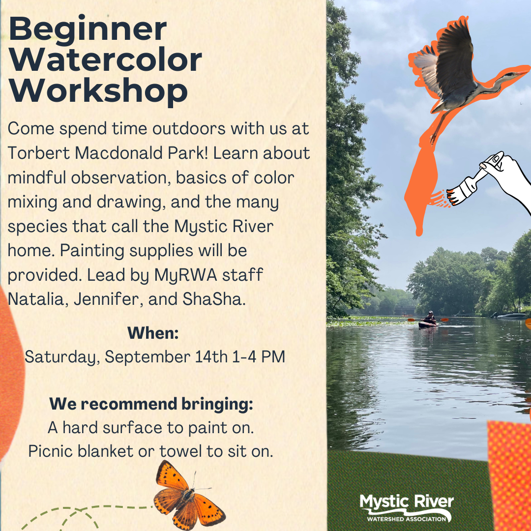 Beginner Watercolor Workshop at Torbert Macdonald Park